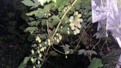 4bfc68fe-002e-4bb8-9533-eafa3764afab