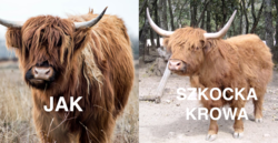 4e5962eb-a8d6-43d9-94cd-ad0a36f20e77