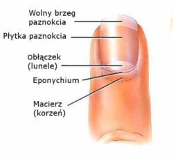 e8d2280b-fb51-4d48-b3c9-cca94538d749