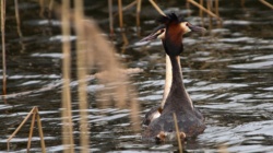 297f7b1e-a4db-4a9a-9faa-98a74e734014