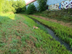 d229d3c2-42b6-492a-b43e-91530bb5a1c2