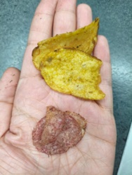 9f4cba48-e377-4626-852f-d2126d273d6b