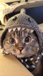 19f5c2fc-fa79-4037-ab4f-2fb23b8ecb54