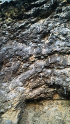 f5f08658-b0e4-4bc6-9f69-6ed51c5a3bcf