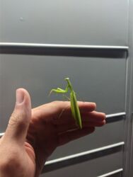 6a3b8539-2d07-4c99-a655-60bfc0c4663a