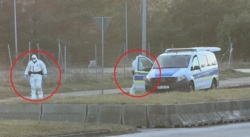 f905d03a-acbe-4cc9-831e-a64d0d5e689f