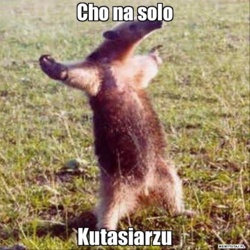 c887610a-99ae-4ece-84ce-58a76c4eb697