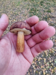 209d6c23-eb68-4398-9c02-1ec74d54b324