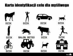 dfe80df0-17d3-4ed7-bb7f-9cd7e98c285d