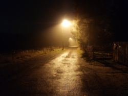 9032bb13-6a53-459f-8391-9831fe3302ec