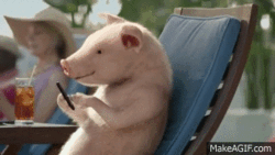 6391dbbb-f991-4691-a052-80181375b821