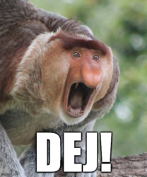 3937a2a0-a344-4546-a9a7-b10b2ffc3972