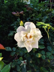 0b032a54-5fde-4e73-b1d3-e8a92071360a