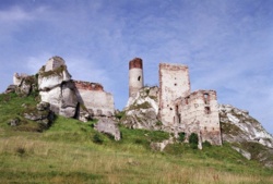 aad6e830-672e-4d81-b64c-d9c81de354d8