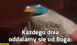 58eb8add-9987-4c07-9a26-0ae76ac761fd