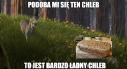 c0b92302-a956-498a-844c-0f87b780591c