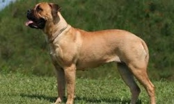 7ac778e6-fbef-4b6f-acb9-32ddbc3c831e