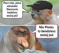 bd893531-c0bb-486b-9d84-99a0d34579fd