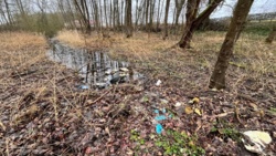 d29f2105-da7e-4bc2-b77d-14382edad340