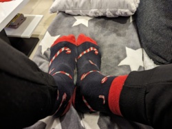 bd93b2ae-c9c9-4aa3-9002-056eb4be0faf