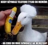 b49fd50a-74bf-4da4-8f15-25d10adaf7e3