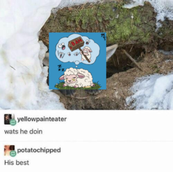 465e5487-8d91-465d-aeee-67309fd24232