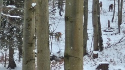 179f5d51-116b-46b2-9723-1f61009276eb