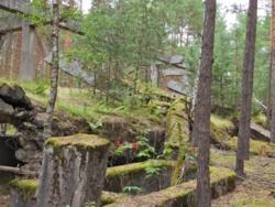 ba8e4e6d-79bc-4cf8-993e-f28a54639c30