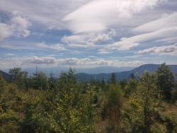 f5a6e2ae-fd93-462c-84ce-002bddafb0eb