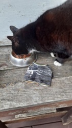 bd05de60-77fa-43a9-bfc5-910d7c97f162