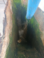 c2f09719-3f3e-47dd-a4b8-ff0550593838