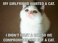 ac398125-731c-4faa-8bdc-3d49e8c0e2f1