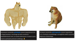 374e256c-9612-4094-af49-a3df95ecad83