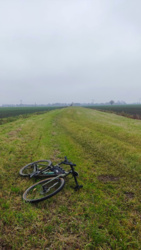 5bef0b59-8749-4662-99b1-7724a132dcba