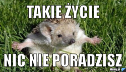 2a63cd6b-adc7-40a7-97b5-1cd9fc9dc30d