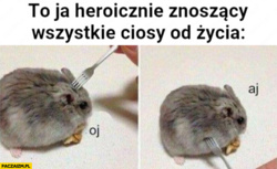 3ac4803d-1252-4863-9717-8475e66a57be