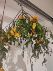 89bc9aae-8359-4028-bb0b-8237aba43b90