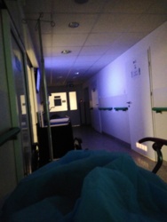 2d458f40-dd7b-4aa1-813b-6986c03c1da4