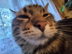 8d0a4eff-e088-47e1-b2b7-677fc58a88ac