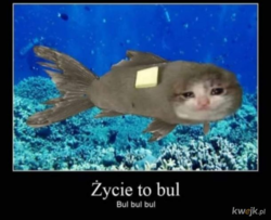 247b47ad-5b5c-4ad0-9bf4-8ee25c12e4e3