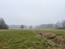 6095b7f5-a155-4167-87f9-0c7e975d500a