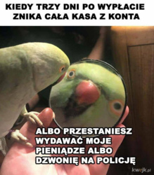 dbb7c4ad-57c9-42fa-8ae3-ea30d9e85c38