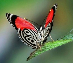 aa5b1035-947d-4405-9cb9-6b534a70b691