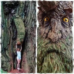 e73a49da-b3c0-4bd5-b104-35d6b617ce83