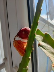 f9766318-7635-45d7-98ff-22e947cded11