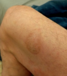 13b0e7ae-626c-42c9-9dab-97e90c9e4bf1