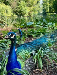 64850b71-66a1-4442-b9ce-4e05402b6d34