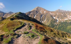 c3b50fd5-7fc7-40d8-ac80-13c03ba60602