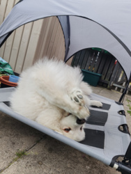 6b33f6e0-4c95-40af-824d-39607a52a362