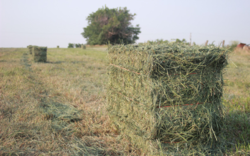 c090d0fd-4253-421f-8d0a-cb8335b99be7